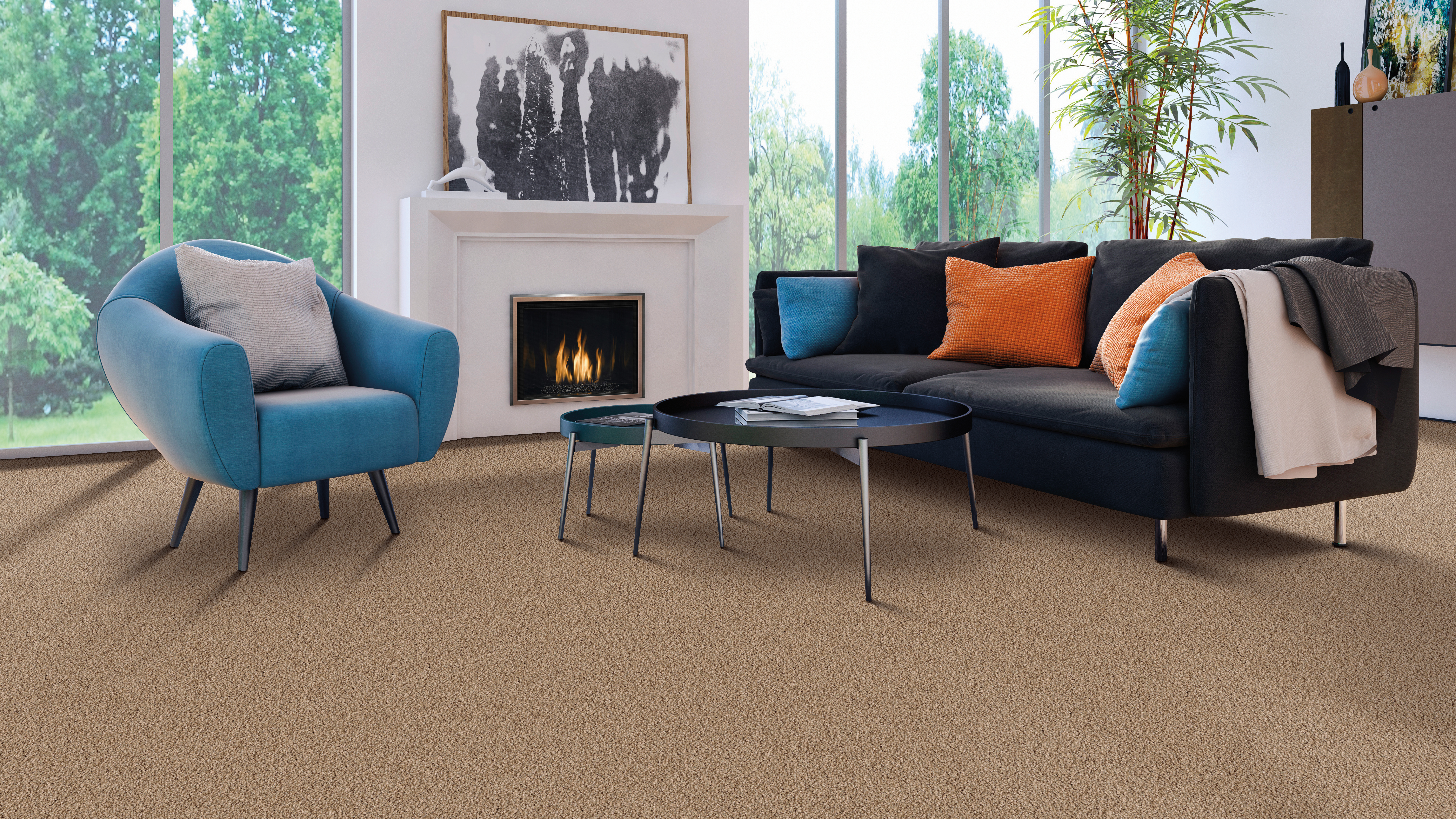 Carpet in a living room, installation services available.